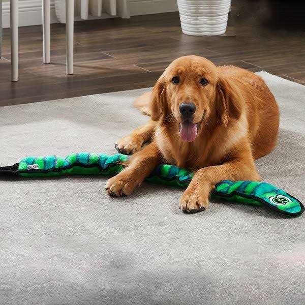 Snake Dog Toy R349