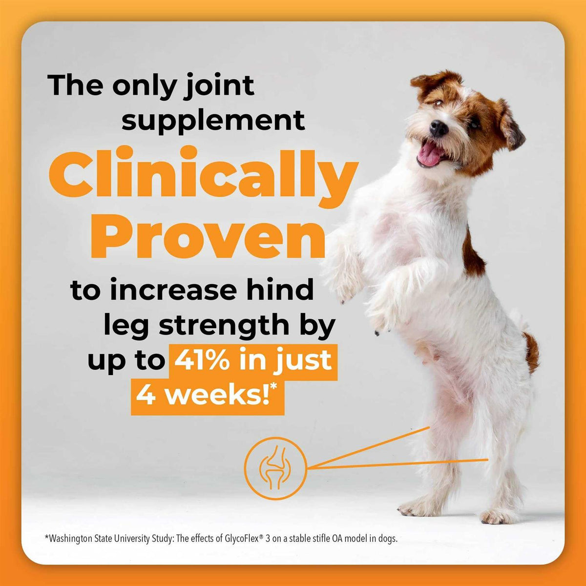 GlycoFlex Plus for Dogs E7824