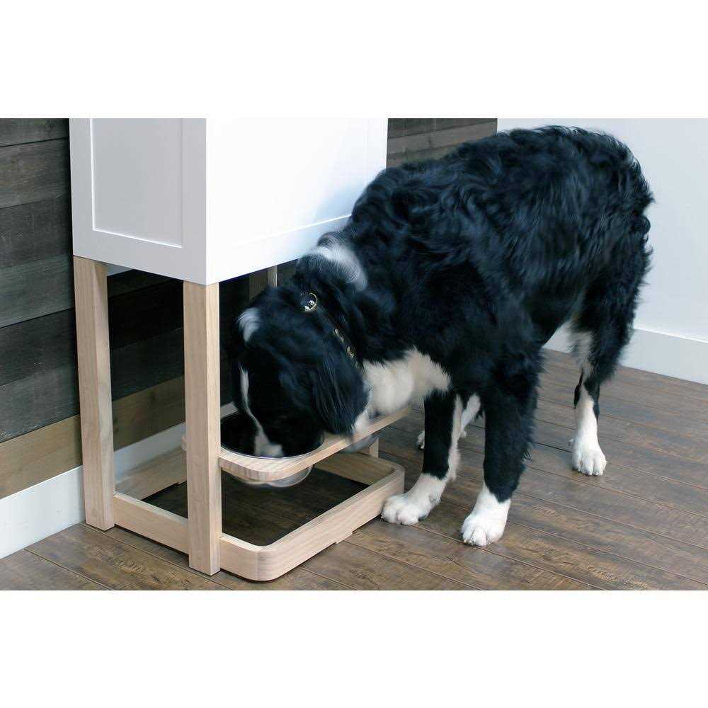 Pet Feeder Station W216