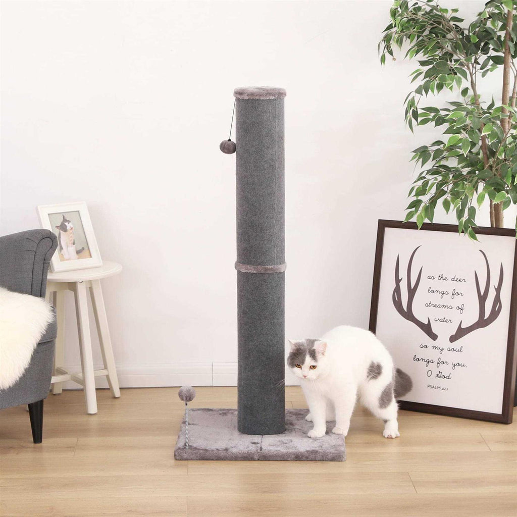 Cat Scratcher G450