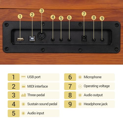 88 Key Weighted Hammer Action Digital Piano with Triple Pedal M727