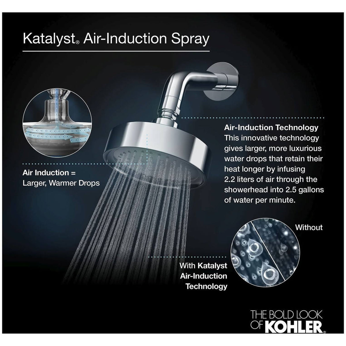 2.5 GPM Single Function Shower Head G725931