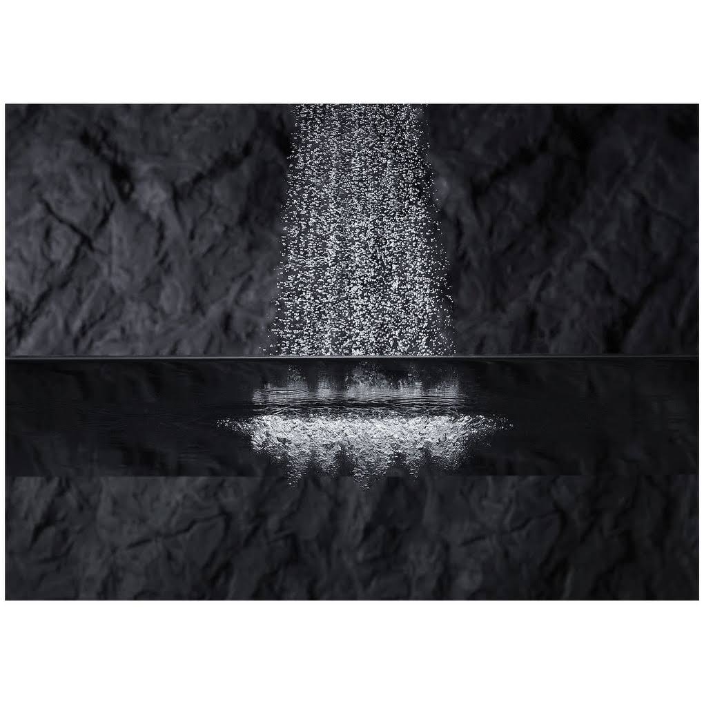 2.5 GPM Single Function Shower Head G725931
