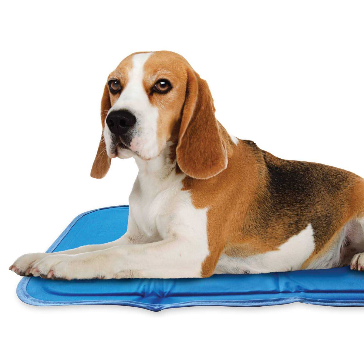 Cool Pet Pad V962