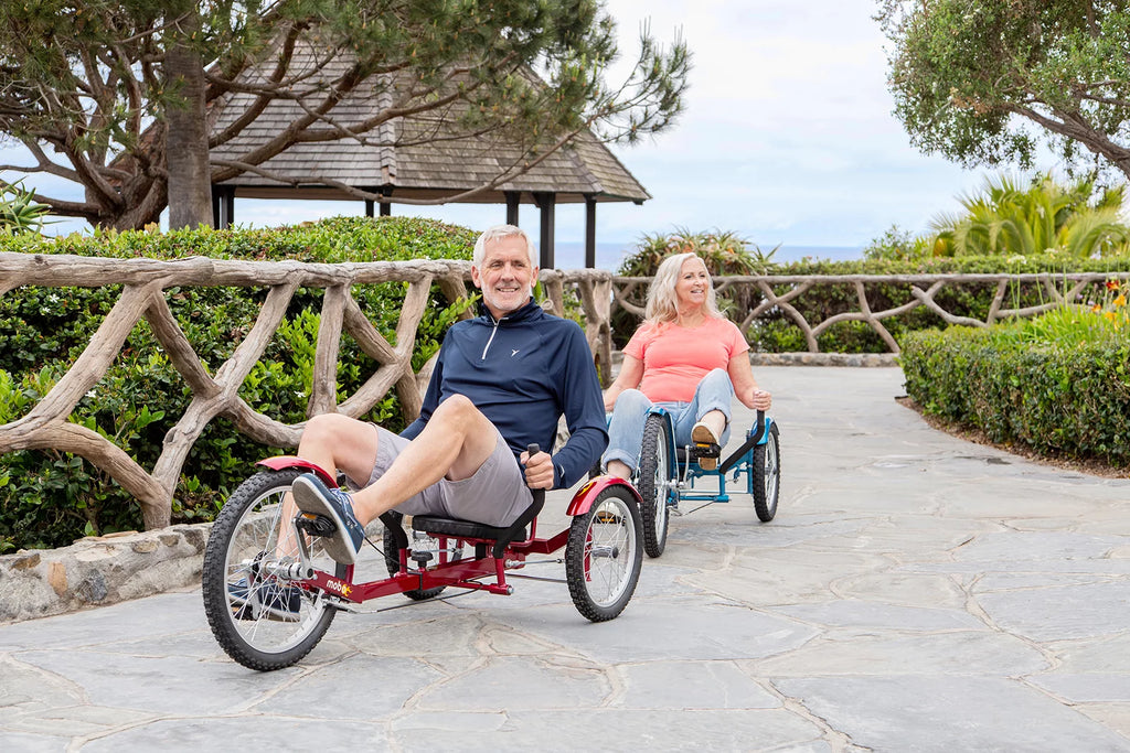 3-Wheeled Cruiser J646426