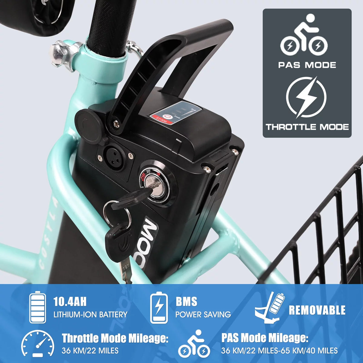3 Wheel Electric Bike with Removable 36V 10Ah Lithium Battery E81648
