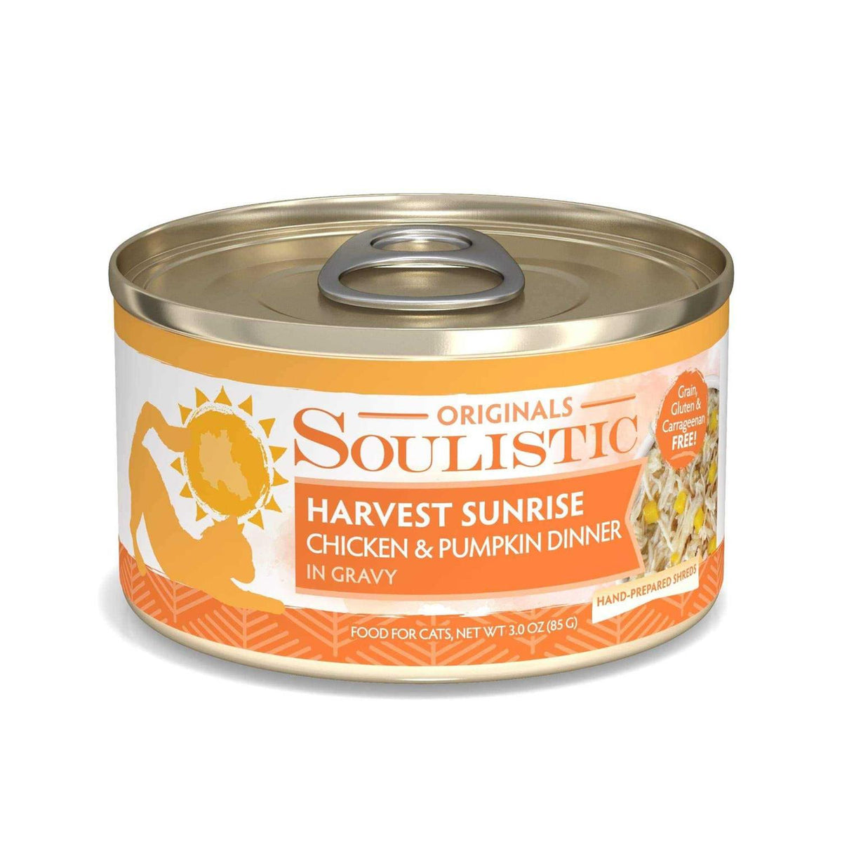 Chicken & Pumpkin Dinner in Gravy Wet Cat Food T69882