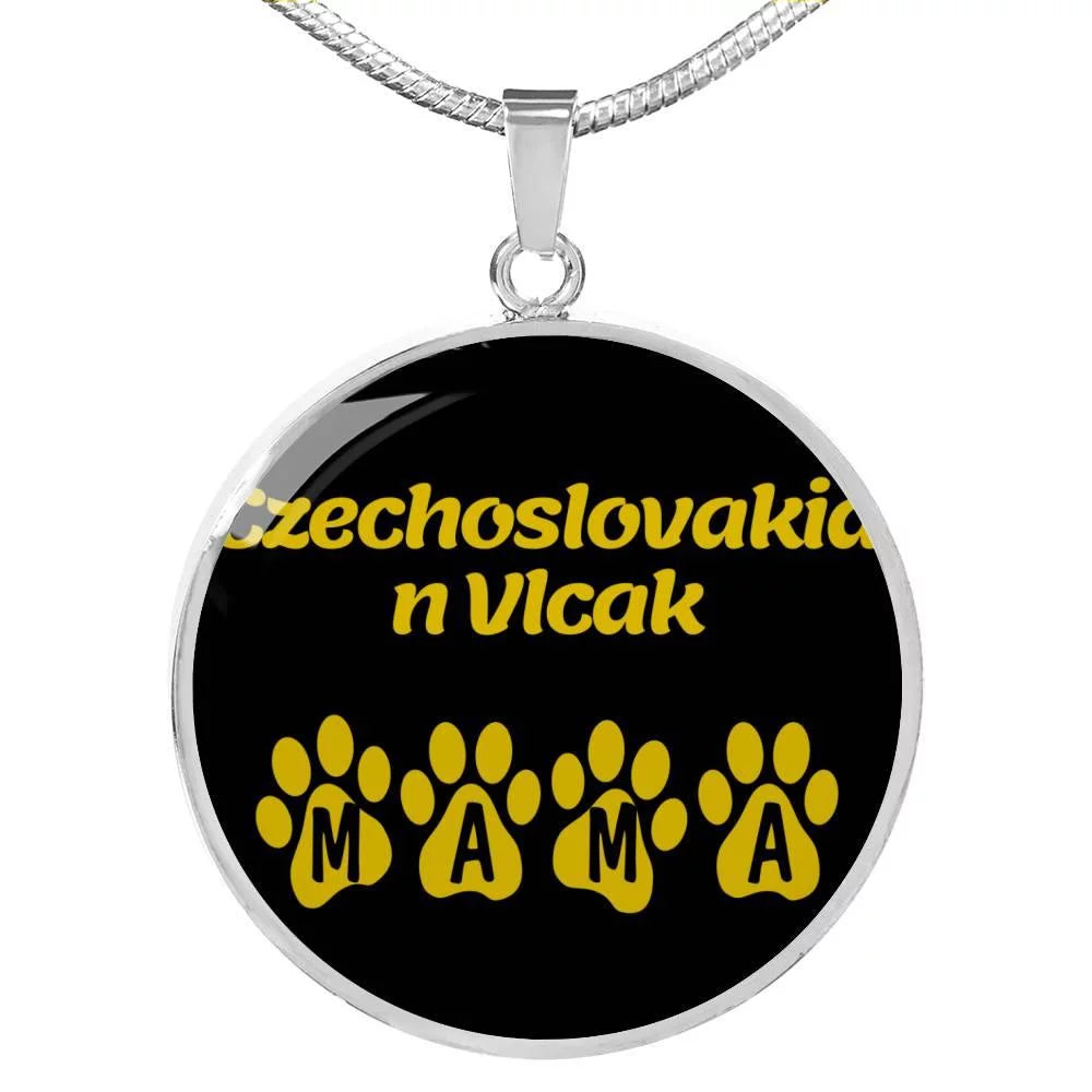 Stainless Steel or 18k Gold Necklace C669