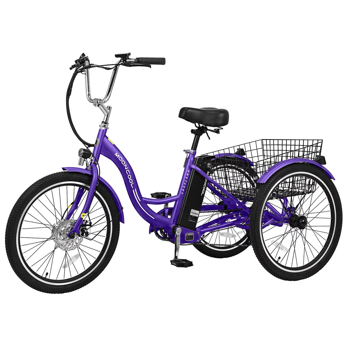 3 Wheel Electric Bike with Removable 36V 10Ah Lithium Battery E81648