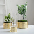 Set of 3 Glass Cylinder Vases with Gold Honeycomb Base W42653