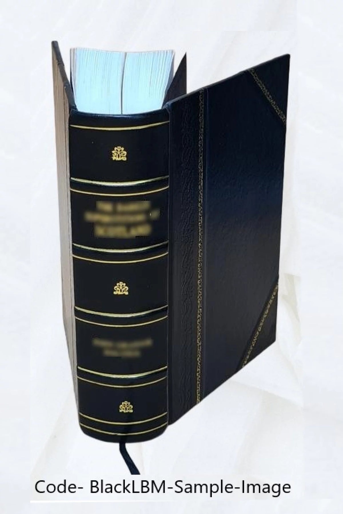 Leather Bound Book I890