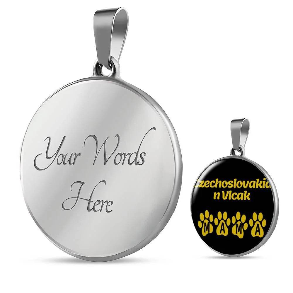 Stainless Steel or 18k Gold Necklace C669
