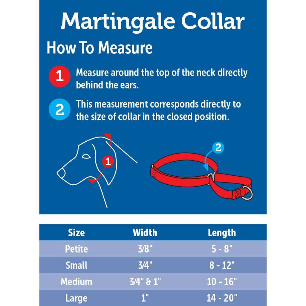 Martingale Collar V7372