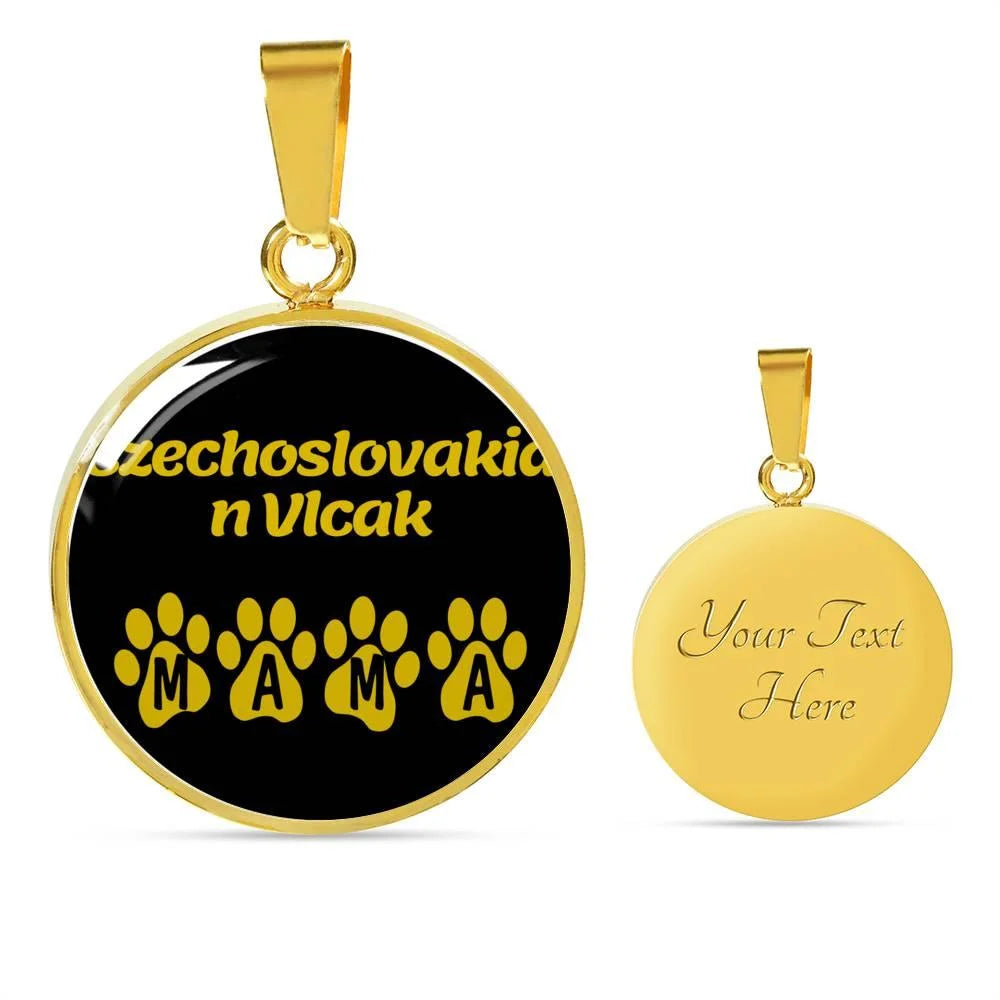 Stainless Steel or 18k Gold Necklace C669