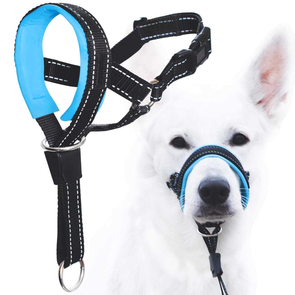 Dog Head Halter with Safety Strap L517146