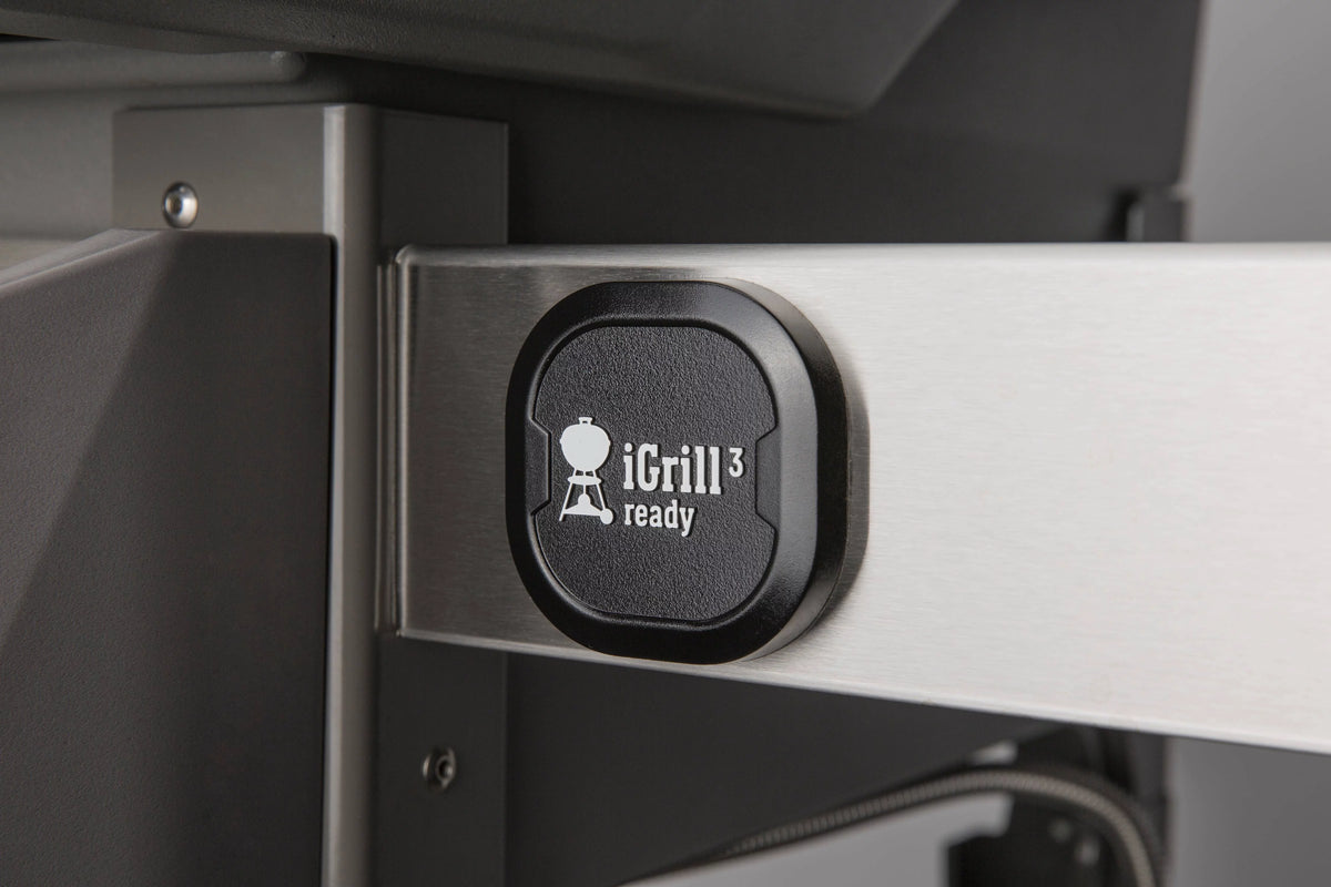 Black Gas Grill R837