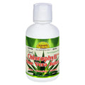 Liquid Chlorophyll with Aloe Vera Juice Spearmint 16 fl oz I4728