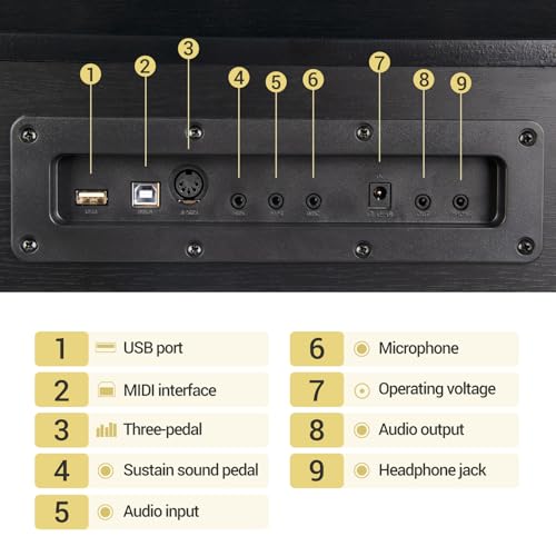 88 Key Weighted Hammer Action Digital Piano with Triple Pedal M727