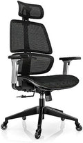Black High-Back Ergonomic Mesh Office Chair with Headrest and Arms A49952