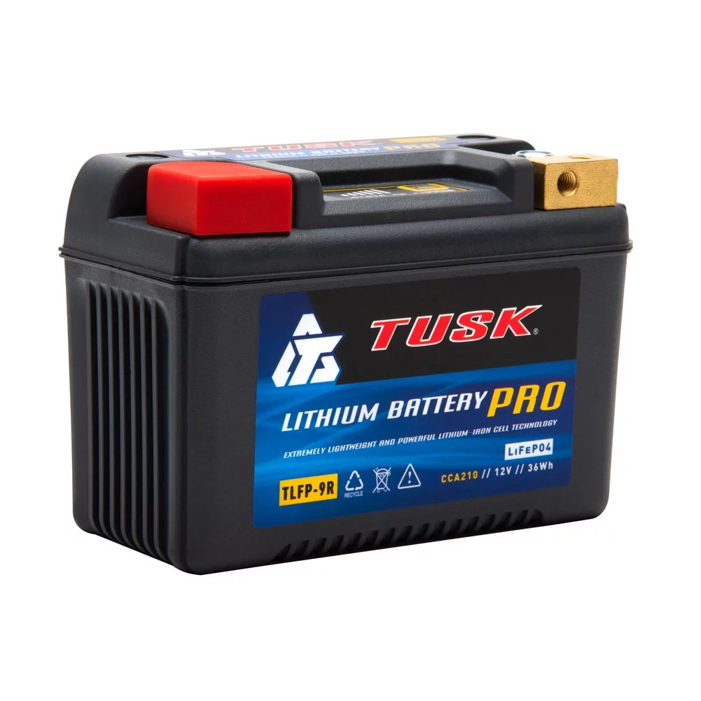 Lithium Pro Battery R65916