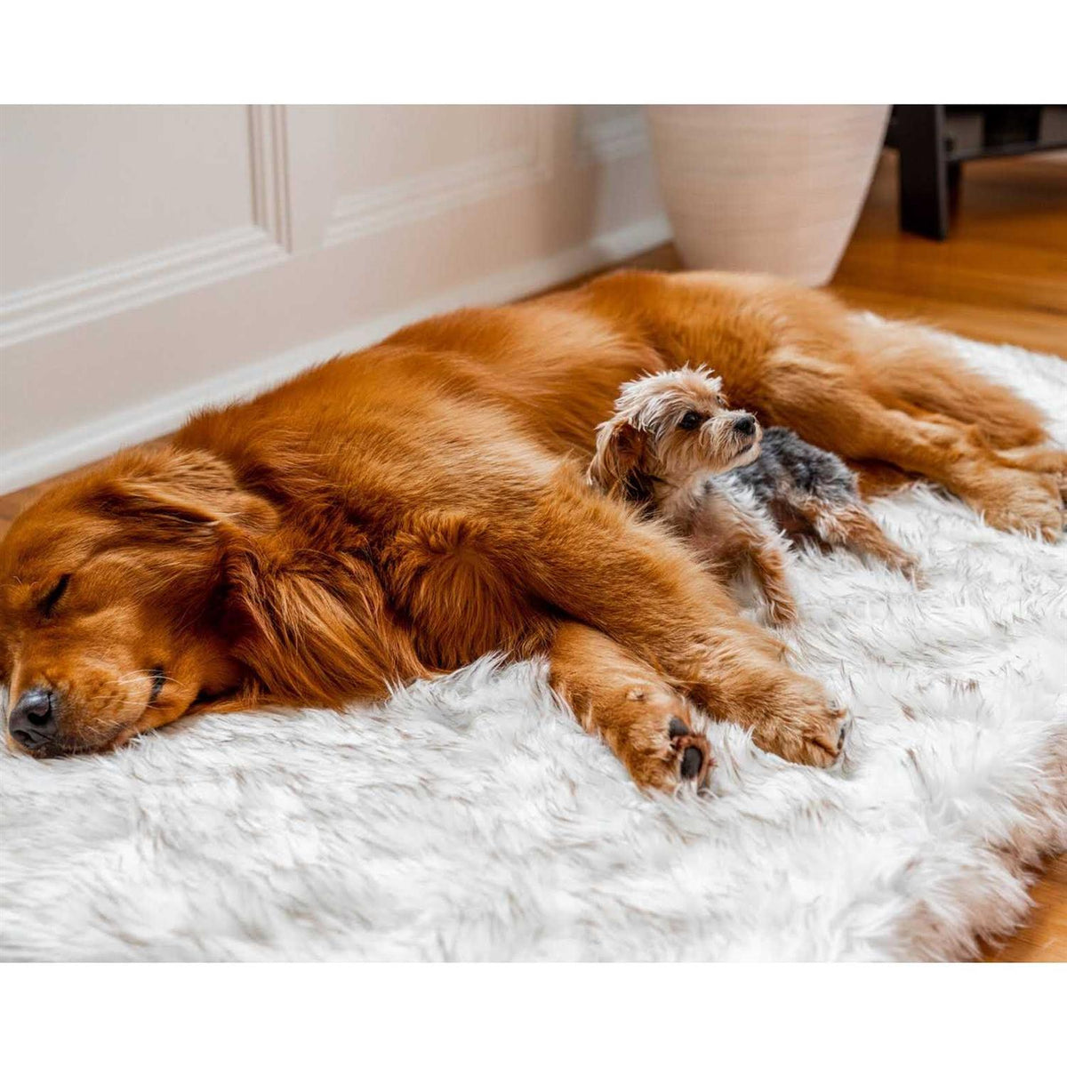 Faux Fur Orthopedic Dog Bed P3106