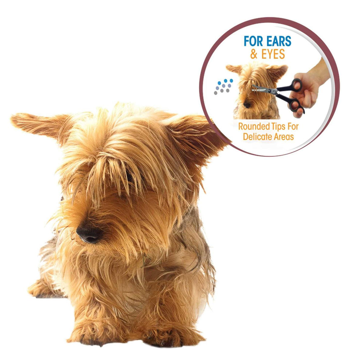 Pet Ear and Eye Scissors A637572