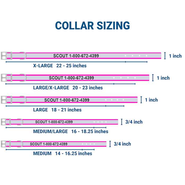 Adjustable Personalized Dog Collar P873051