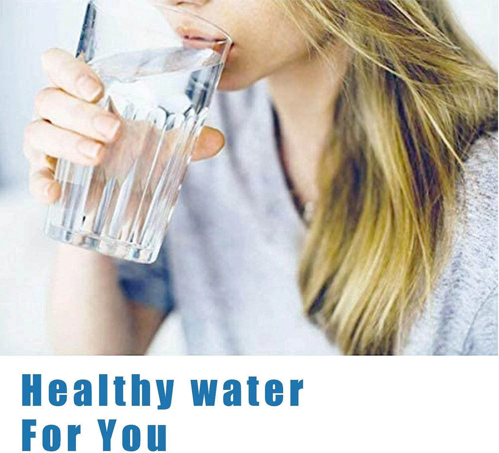 2 Pcs Refrigerator Water Filter X817881