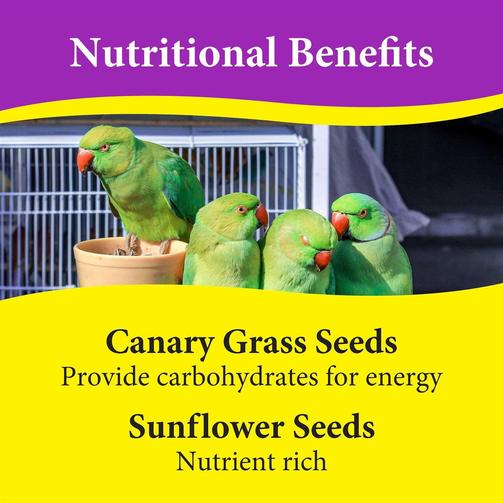 Cockatiel Mix Bird Food Seeds J222737