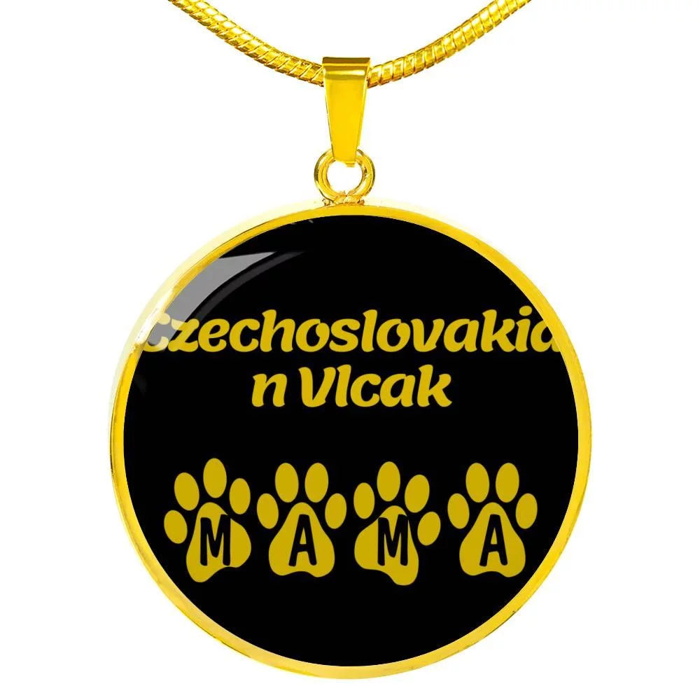 Stainless Steel or 18k Gold Necklace C669