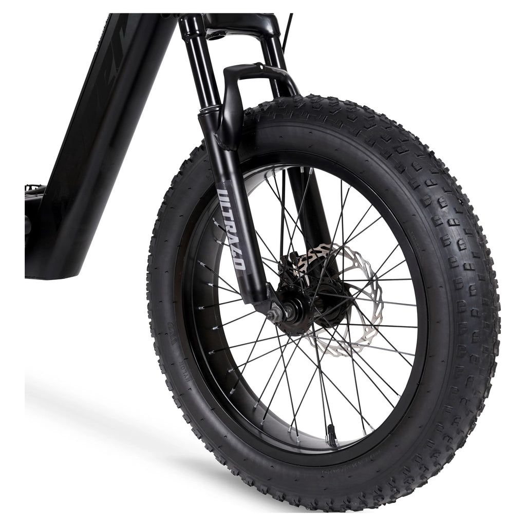 20 36V 250W Electric Bike Matte Black L4147