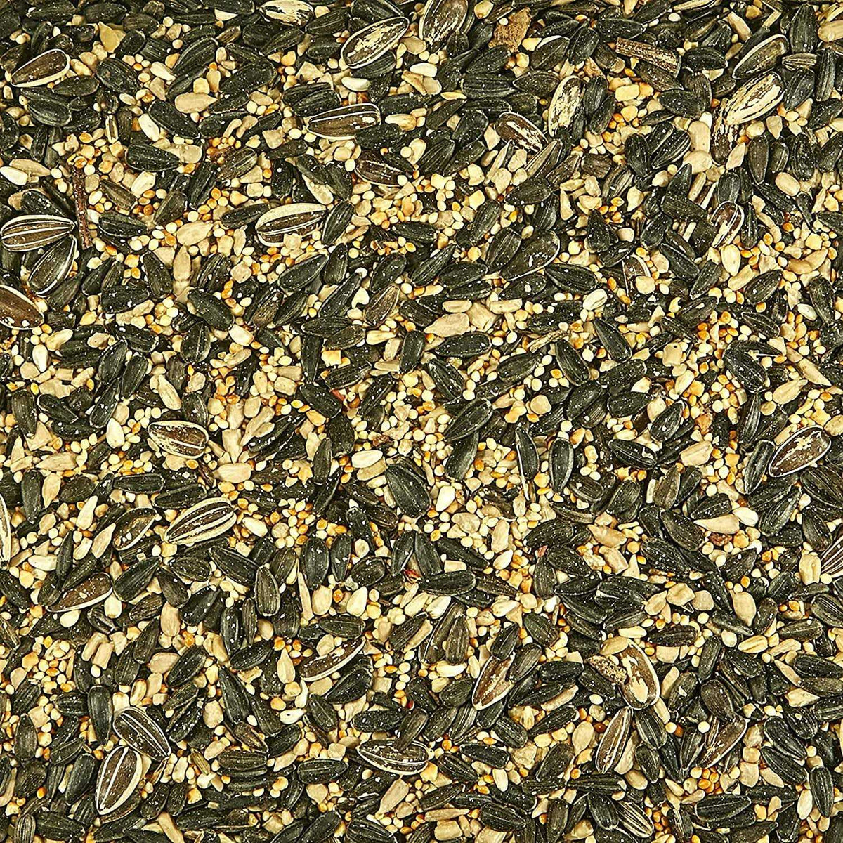 Wild Bird Food O604605