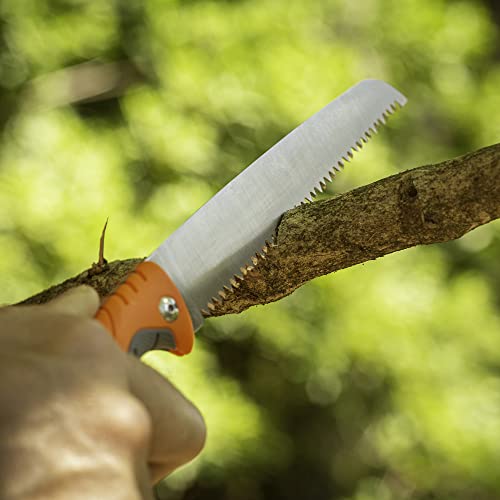 6” Folding Bone Saw Stainless Steel Lock-Back Handle E61771
