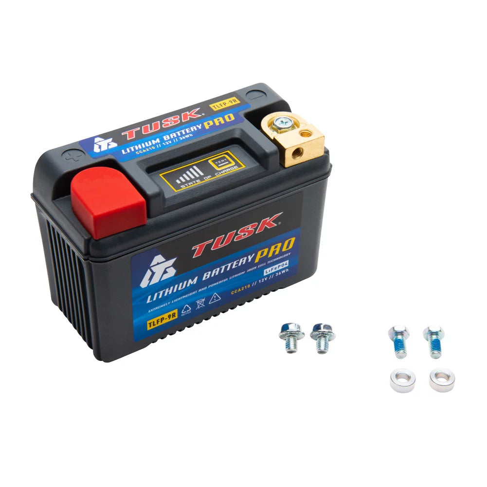 Lithium Pro Battery R65916