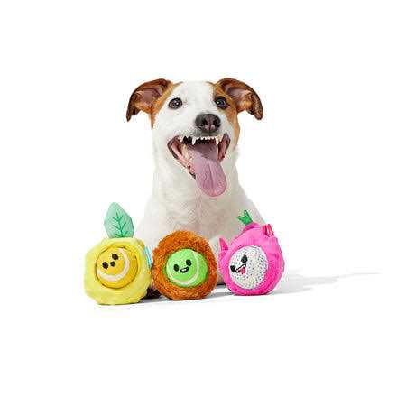Dog Toys Squeaker Ball Toys V8793