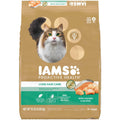Salmon Adult Dry Cat Food B67554