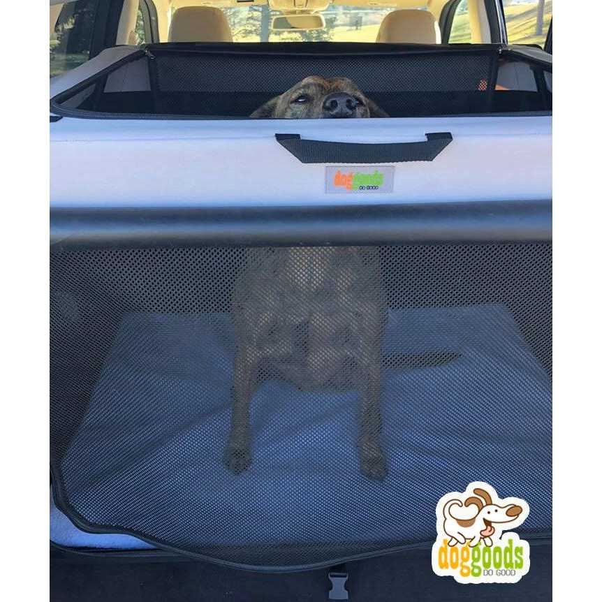 Foldable Travel Dog Crate F277