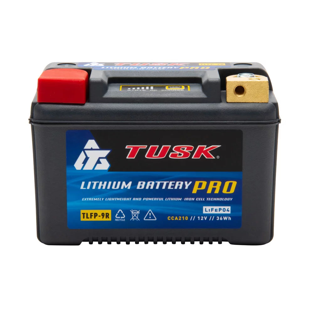 Lithium Pro Battery R65916
