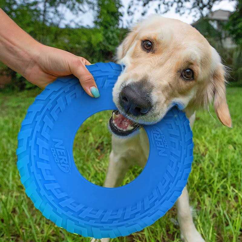 Dog Toy S780657
