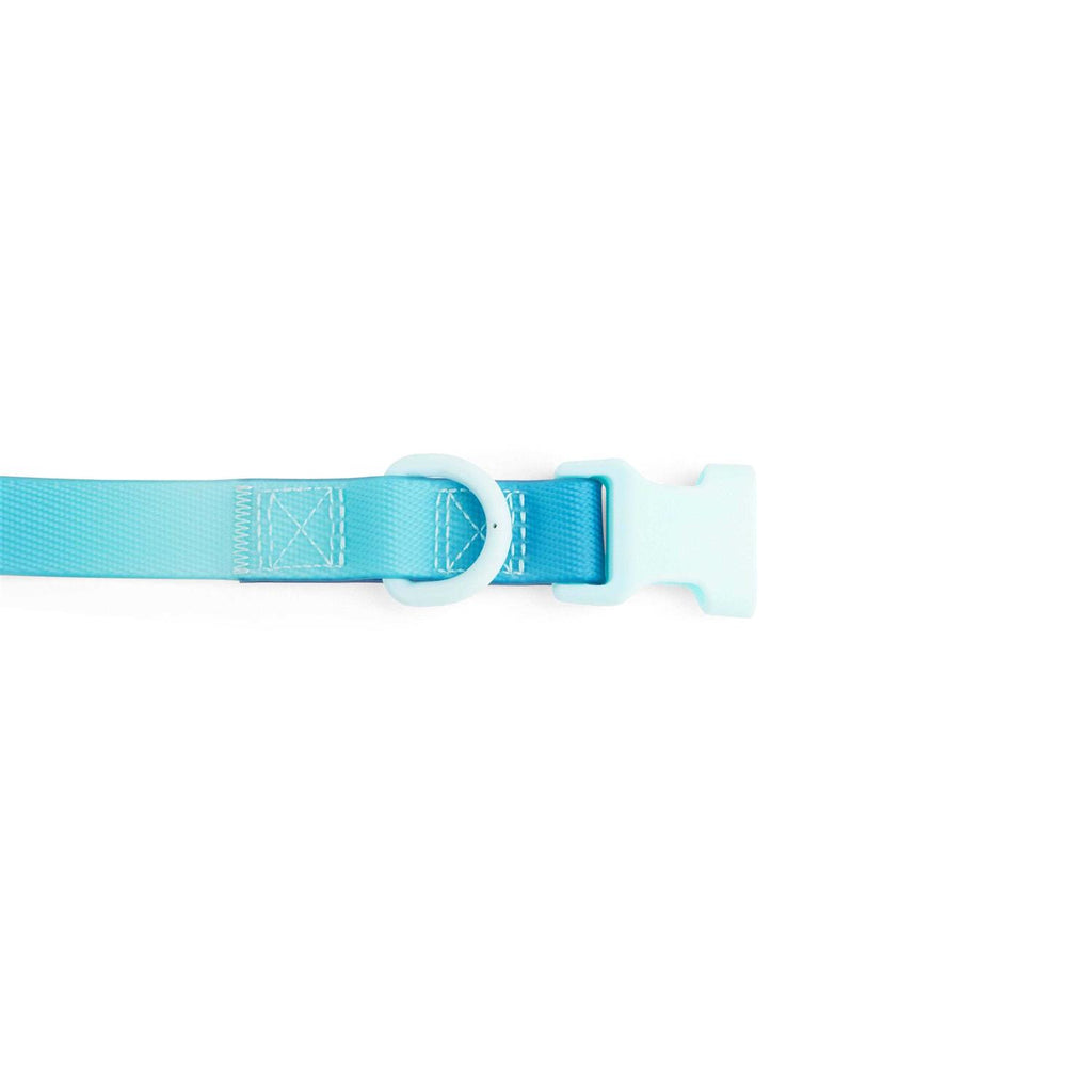 Purple Ombre Wipeable Dog Collar N729624