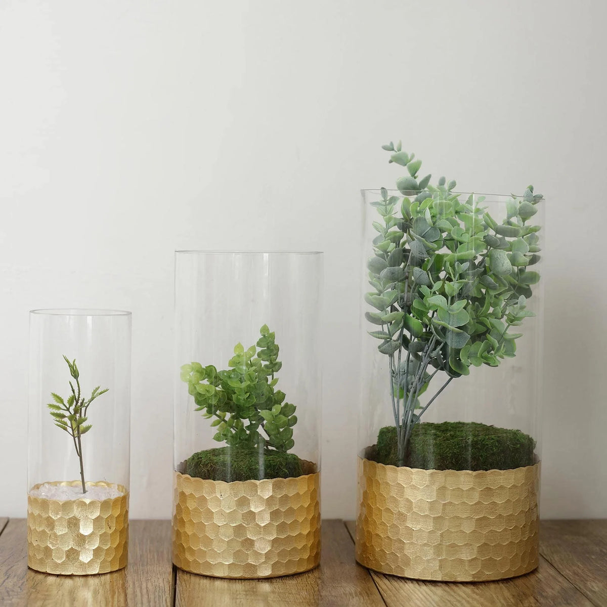 Set of 3 Glass Cylinder Vases with Gold Honeycomb Base W42653