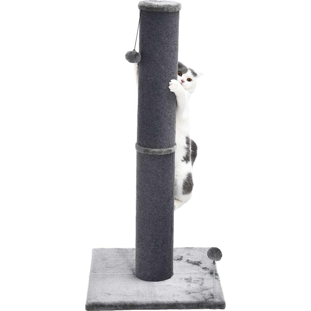 Cat Scratcher G450