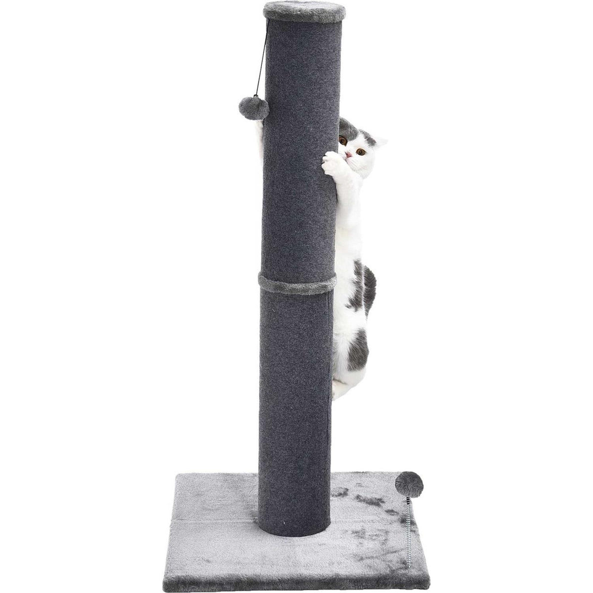 Cat Scratcher G450