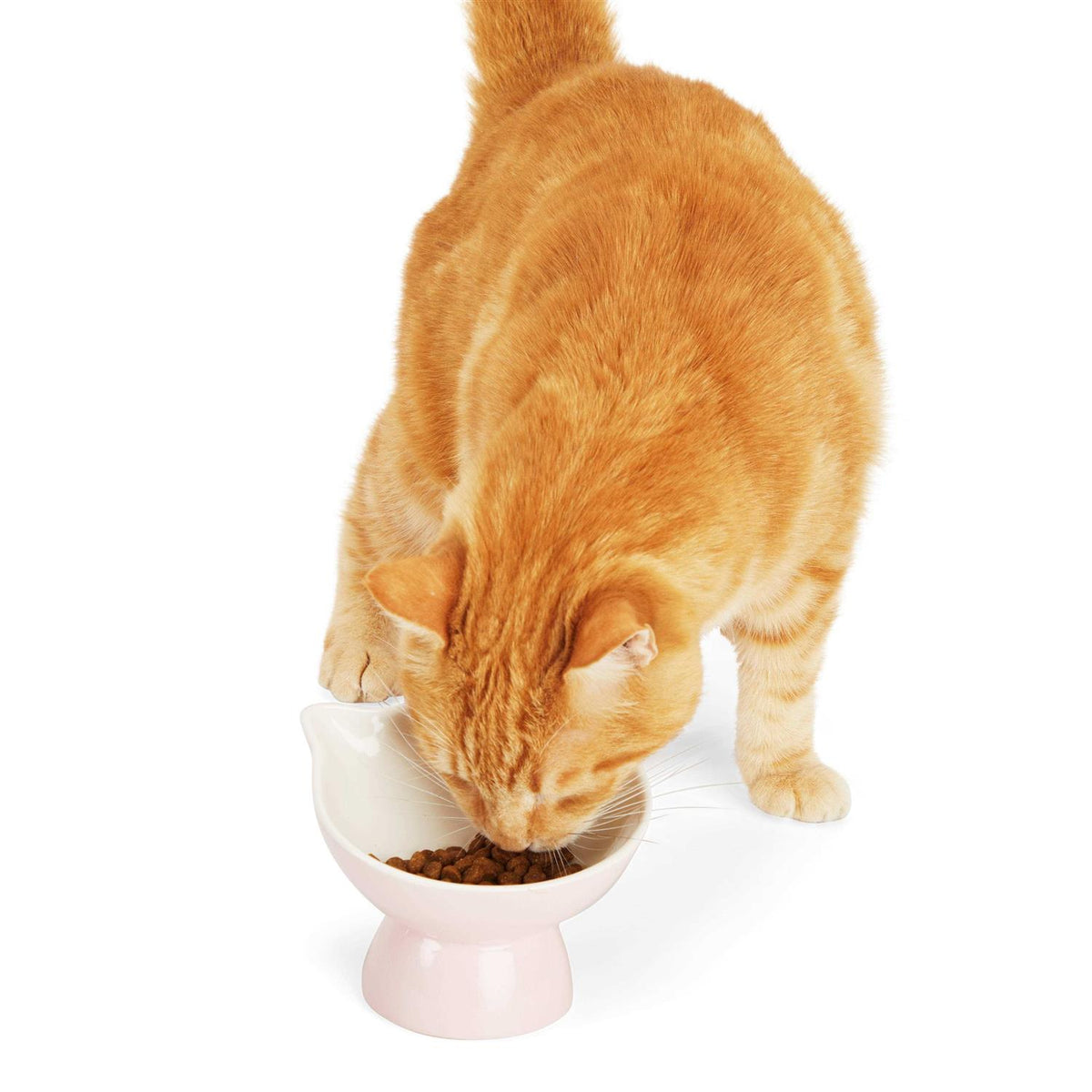 Elevated Cat Ear Bowl T480
