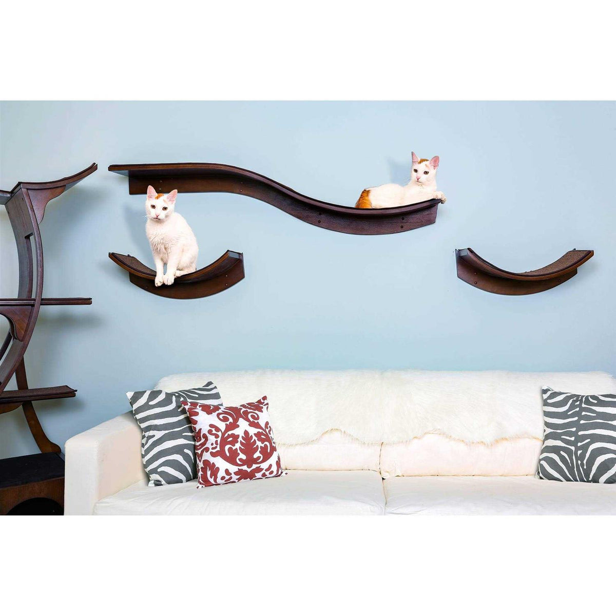 Cat Shelf J195