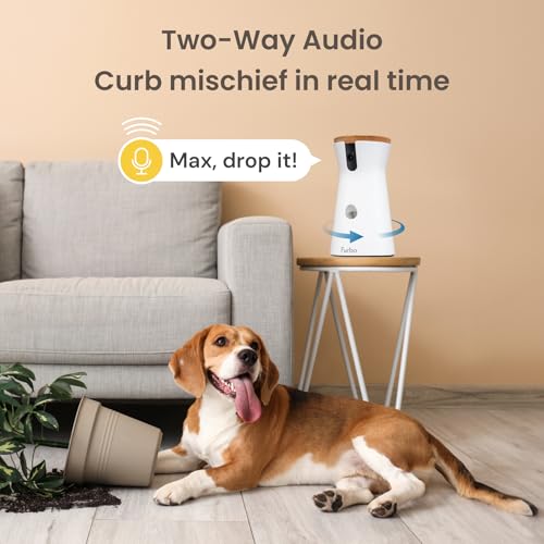 360° Cat Camera with Treat Dispenser and Speaker R9597
