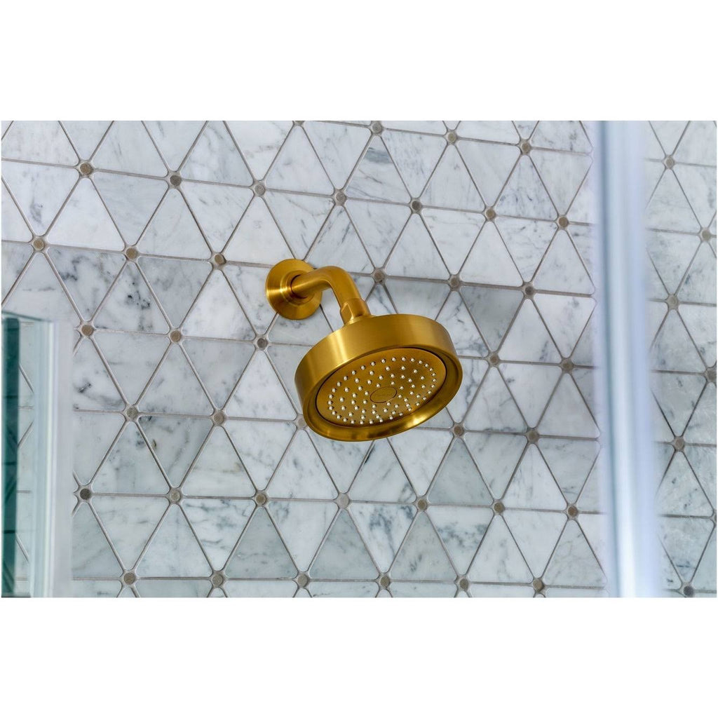 2.5 GPM Single Function Shower Head G725931