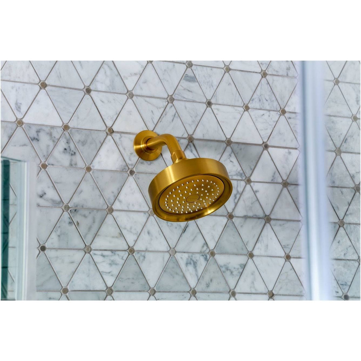 2.5 GPM Single Function Shower Head G725931