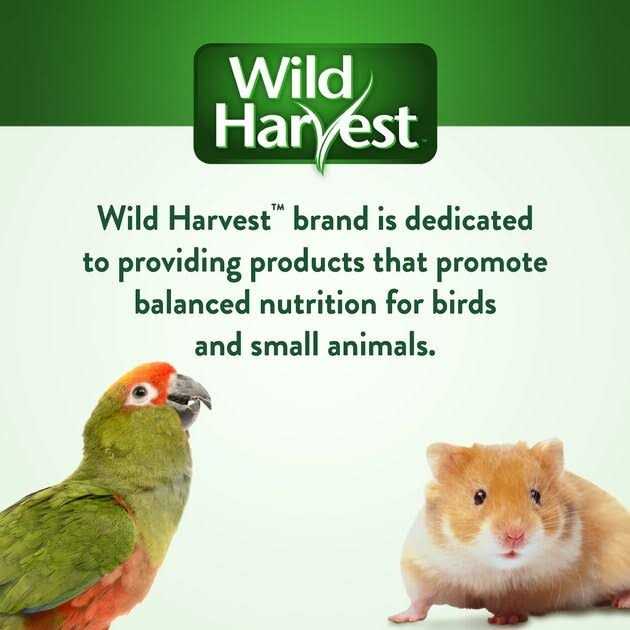 Universal Blend Birds Pet Supplies M492