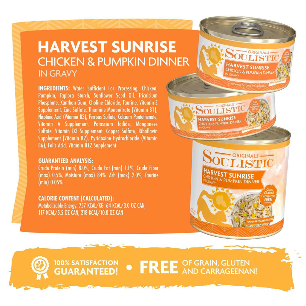 Chicken & Pumpkin Dinner in Gravy Wet Cat Food T69882